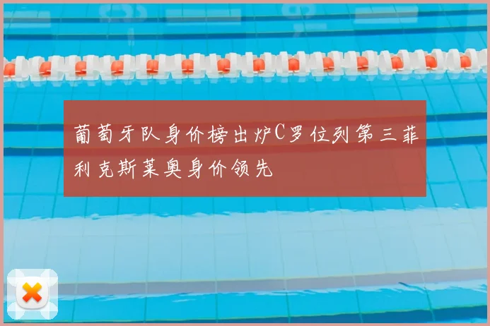 葡萄牙队身价榜出炉C罗位列第三菲利克斯莱奥身价领先