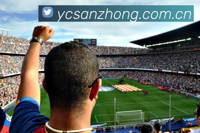 开云账号中心登录入口服务体系